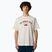 Men's The North Face Varsity Graphic white dune t-shirt