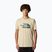 Men's T-shirt The North Face Mountain Line Tee gravel