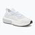 Women's shoes Under Armour Phantom 4 white/halo gray/white