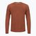 Men's thermal active sweatshirt Smartwool Merino Sport 120 burnt sienna