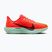 Nike Pegasus Plus men's running shoes bright crimson / cave purple / lime blast