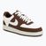 Women's shoes Nike Court Vision Low sail/cacao wow/coconut milk/sail