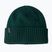 Patagonia Brodeo Beanie winter beanie cascade green