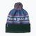 Winter hat Patagonia Powder Town park stripe: barnacle blue