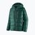 Patagonia men's down jacket Fitz Roy Down Hoody cascade green