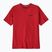 Men's Patagonia P-6 Logo Responsibili-Tee amanita red