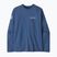 Men's sweatshirt Patagonia Lightweight Unity Fitz Wildrise Crew clement blue