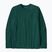 Men's Patagonia P-6 Logo Responsibili cascade green longsleeve
