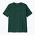 Men's Patagonia P-6 Logo Responsibili-Tee cascade green shirt