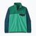 Men's trekking sweatshirt Patagonia LW Synch Snap-T P/O aqua stone