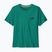 Men's T-shirt Patagonia '73 Skyline gem green