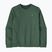 Men's sweatshirt Patagonia Fitz Roy Massif Daily Crew Canopy Green