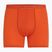 Men's thermal boxer shorts icebreaker Anatomica fervid