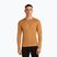 Men's thermal longsleeve icebreaker 260 Tech Crewe trail