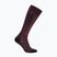 Women's ski socks Icebreaker Merino Ski+ Light OTC java/black/summit