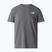 Men's T-shirt The North Face Lightning Alpine smoked pearl