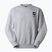 Sweatshirt The North Face Celebration Relaxed Crew Graphic tnf light grey heather