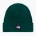 Winter hat The North Face Dock Worker Recycled Beanie hunter green