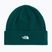 Winter hat The North Face Norm Beanie hunter green