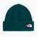 Winter hat The North Face Salty Lined pacific teal
