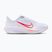 Nike Quest 6 women's running shoes white / bright crimson / washed coral