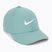 Baseball cap Nike Dri-FIT Club cannon/white