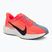 Women's running shoes Nike Pegasus Plus hot lava/orange pulse/dark raisin