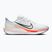 Men's running shoes Nike Quest 6 off white/white/topaz gold/black