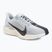 Men's running shoes Nike Pegasus Plus pure platinum/wolf grey/sail/anthracite