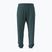 Men's trousers Under Armour Rival LW Graphic Jogger rack green/black