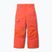 Ski trousers Columbia Bugaboo III zing