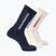 Socks Salomon Everyday Crew 3 pairs spellbound/vanilla ice/lunar rock