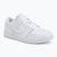 Women's shoes  Jordan Court Connect Low white/pure platinum