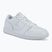 Men's shoes  Jordan Access Court Low white/pure platinum