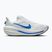 Men's running shoes Nike Winflo 12 white/off white/lapis/blue crystal