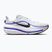 Men's running shoes Nike Winflo 12 off white/white/wolf grey/black