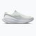 Men's running shoes Nike Revolution 8 summit white/white/metallic silver