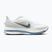 Men's running shoes Nike Pegasus Premium white/hydrogen blue/aluminum/grey fog