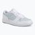 Women's shoes Jordan Court Connect Low white/aura/psychic blue