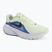 Men's running shoes Nike Downshifter 14 colt tint/white/black/black spruce