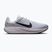 Men's running shoes Nike Quest 7 pure platinum/white/wolf grey/black