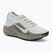 Men's running shoes Nike ACG Pegasus Trail GORE-TEX Light Silver/Light Army/Light Silver