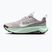 Women's running shoes Nike Wildhorse 10 silver lilac/tattoo/barely green