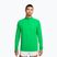 Men's running sweatshirt Nike Stride 1/4 Zip Dri-Fit green spark