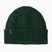 Winter hat Patagonia Brodeo treeline green