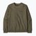 Men's sweatshirt Patagonia Daily Crew basin green