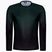 ASSOS Trail Jersey T3 LS men's cycling jersey green 51.24.210.6F