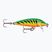 Rapala Countdown firetiger wobbler
