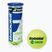 Babolat Green tennis balls 3 pcs. yellow