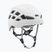 Petzl Boreo white climbing helmet